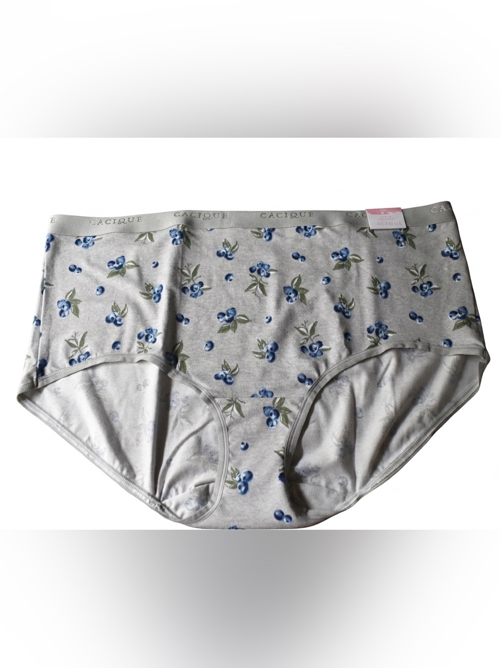 Cacique Gray Briefs with Blue Berry Print